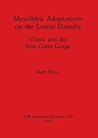 bokomslag Mesolithic Adaptations on the Lower Danube