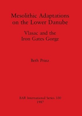 Mesolithic Adaptations on the Lower Danube 1