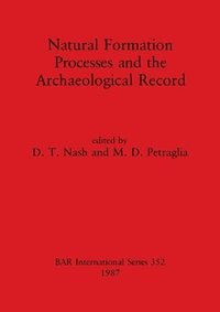 bokomslag Natural Formation Pprocesses and the Archaeological Record