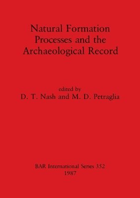 bokomslag Natural Formation Pprocesses and the Archaeological Record