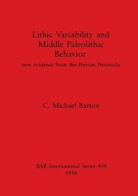 bokomslag Lithic Variability and Middle Palaeolithic Behaviour