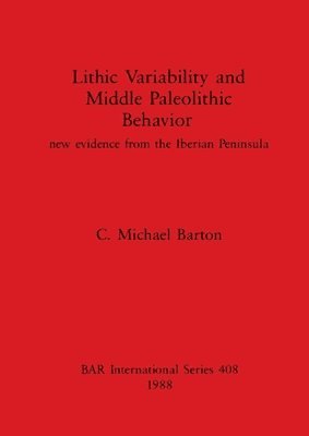 bokomslag Lithic Variability and Middle Palaeolithic Behaviour