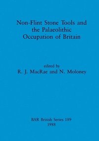 bokomslag Non-flint Stone Tools and the Palaeolithic Occupation of Britain