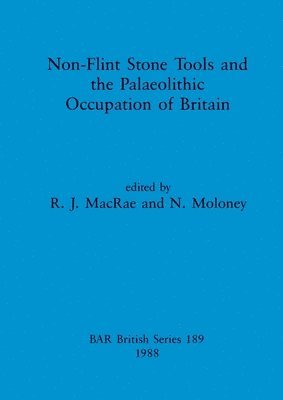 bokomslag Non-flint Stone Tools and the Palaeolithic Occupation of Britain