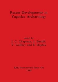 bokomslag Recent developments in Yugoslav archaeology