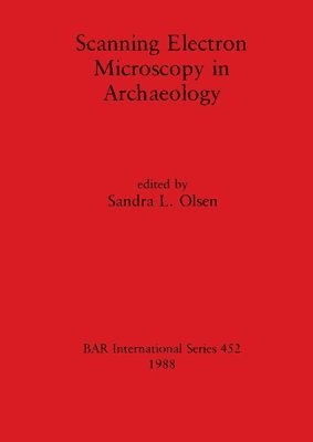 Scanning Electron Microscopy in Archaeology 1