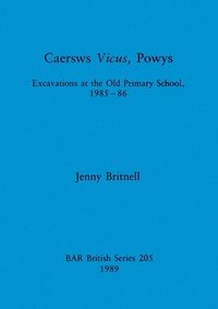 bokomslag Caersws Vicus Powys