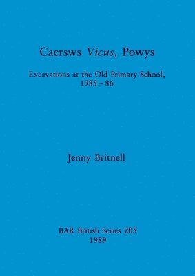 bokomslag Caersws Vicus Powys