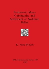 bokomslag Prehistoric Maya Community and Settlement at Nohmul, Belize