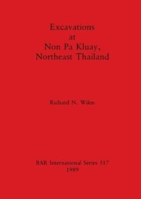 bokomslag Excavations at Non Pa Kluay, Northeast Thailand