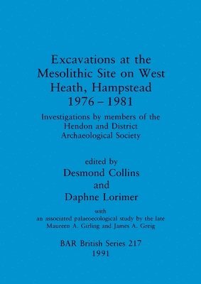 bokomslag Excavations at the Mesolithic site on West Heath, Hampstead 1976 - 1981