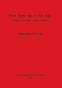 bokomslag From Stone Age to Iron Age