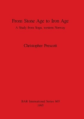bokomslag From Stone Age to Iron Age
