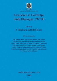 bokomslag Excavations in Cowbridge, South Glamorgan, 1977-1988