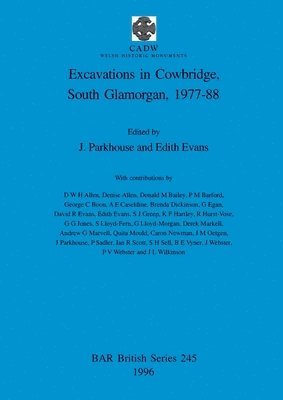 bokomslag Excavations in Cowbridge, South Glamorgan, 1977-1988