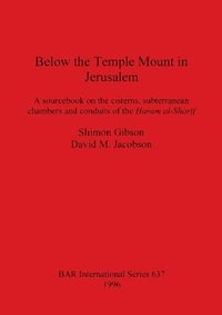 bokomslag Below the Temple Mount in Jerusalem