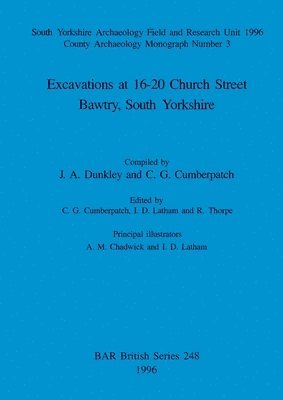bokomslag Excavations at 16-20 Church Street, Bawtry, South Yorkshire