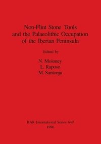 bokomslag Non-Flint Stone Tools and the Palaeolithic Occupation of the Iberian Peninsula