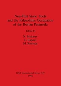 bokomslag Non-Flint Stone Tools and the Palaeolithic Occupation of the Iberian Peninsula