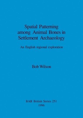 Bob Wilson - Spatial Patterning Among Animal Bones in Settlement Archaeology, Häftad