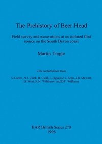 bokomslag Prehistory of Beer Head