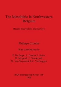 bokomslag The Mesolithic in Northwestern Belgium