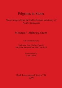 bokomslag Pilgrims in Stone