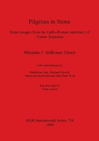 bokomslag Pilgrims in Stone: Stone images from the Gallo-Roman sanctuary of Fontes Sequanae
