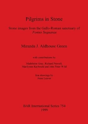bokomslag Pilgrims in Stone: Stone images from the Gallo-Roman sanctuary of Fontes Sequanae