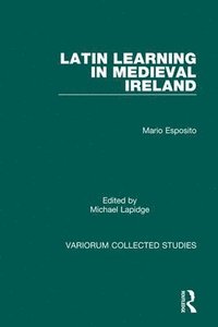 bokomslag Latin Learning in Medieval Ireland