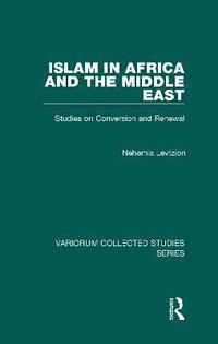 bokomslag Islam in Africa and the Middle East