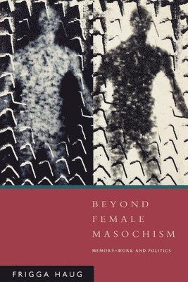 Beyond Female Masochism 1
