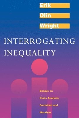 bokomslag Interrogating Inequality