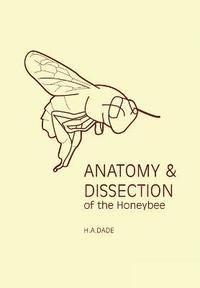 bokomslag Anatomy & Dissection of the Honeybee