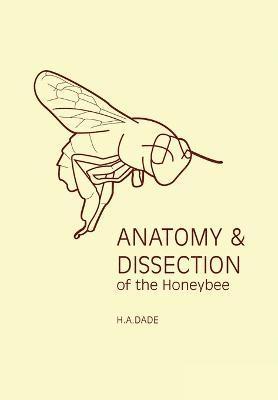 Anatomy & Dissection of the Honeybee 1