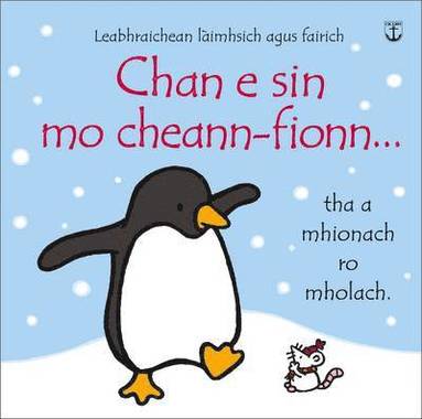 bokomslag Chan E Sin Mo Cheann-Fionn