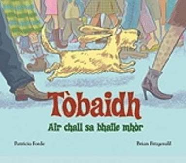 bokomslag Tobaidh Air Chall Sa Bhaile Mhor