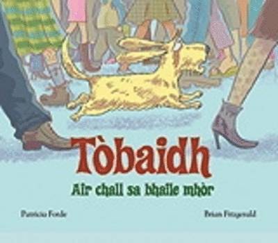 Tobaidh Air Chall Sa Bhaile Mhor 1