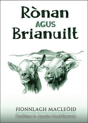 Rnan agus Brianuilt 1