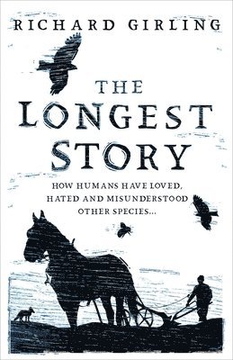 The Longest Story 1