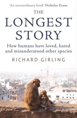 bokomslag Longest Story