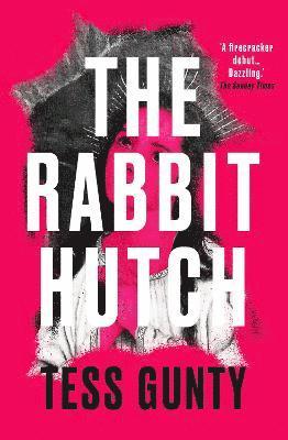 The Rabbit Hutch 1