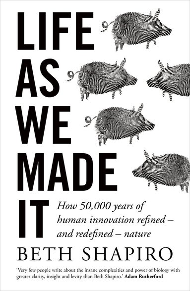 Beth Shapiro - Life as We Made It, Häftad