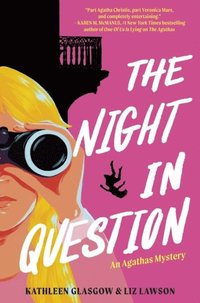 bokomslag The Night In Question