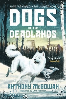 bokomslag Dogs of the Deadlands: Shortlisted for the Week Junior Book Awards