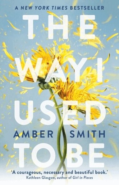 Amber Smith - Way I Used to Be, Häftad