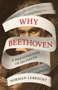 bokomslag Why Beethoven