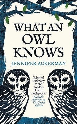 What an Owl Knows 1