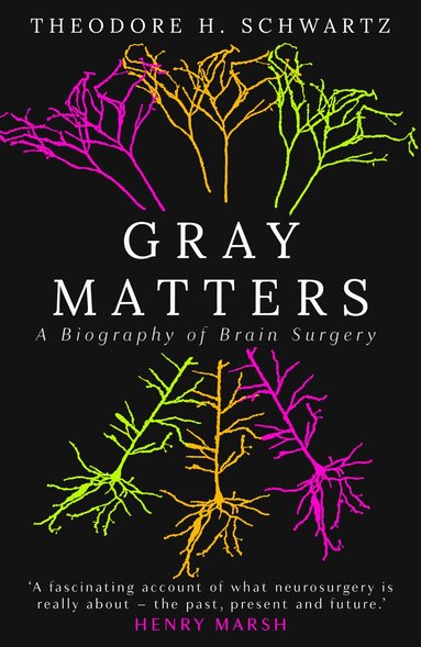 Theodore Schwartz - Gray Matters, Inbunden