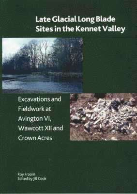 Late Glacial Long Llade Sites in the Kennet Valley